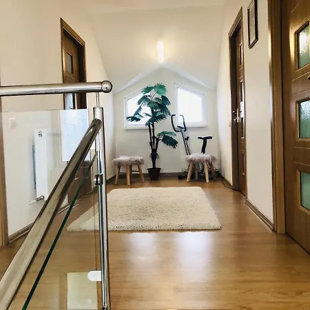 Vila Napoca Villa Cluj-Napoca