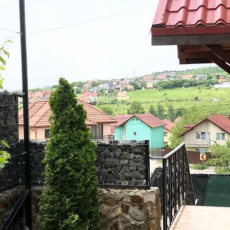 Vila Napoca Villa Cluj-Napoca